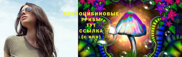 стафф Баксан