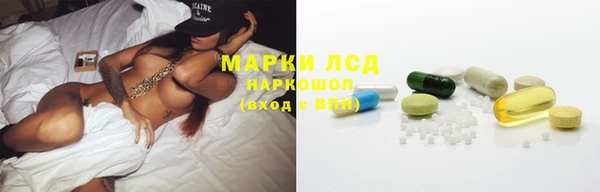 стафф Баксан